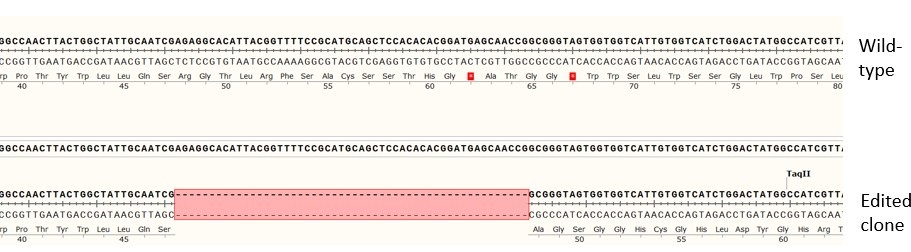 Next Generation Sequencing - Human LPAR1 knockout HCT116  cell line (AB301045), expandable thumbnail