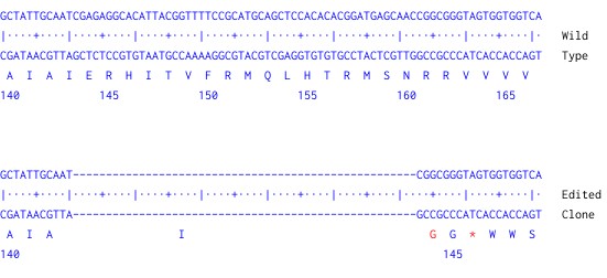 Next Generation Sequencing - Human LPAR1 knockout HCT116  cell line (AB301045), expandable thumbnail