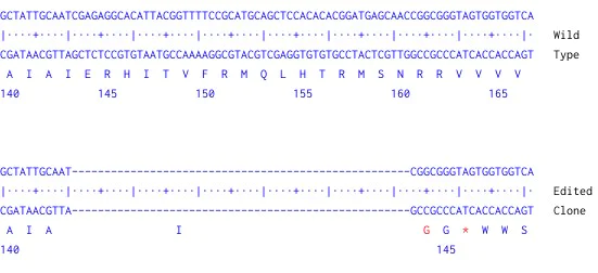 Next Generation Sequencing - Human LPAR1 knockout HCT116 cell line (AB301045)