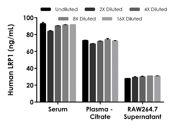 Sandwich ELISA - Human LRP1 ELISA Kit (AB278128)