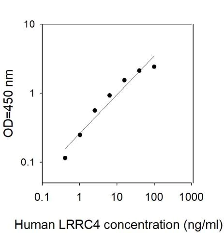Sandwich ELISA - Human LRRC4 ELISA Kit (AB313986)