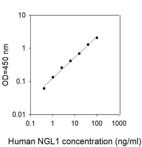 Sandwich ELISA - Human LRRC4C ELISA Kit (AB313905)