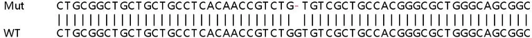 Sanger Sequencing - Human LRRC58 knockout HeLa cell line (AB265432)