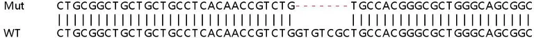 Sanger Sequencing - Human LRRC58 knockout HeLa cell lysate (AB258500)
