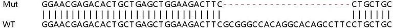 Sanger Sequencing - Human LTB4R2 (Leukotriene B4 Receptor 2) knockout HeLa cell line (AB265153)