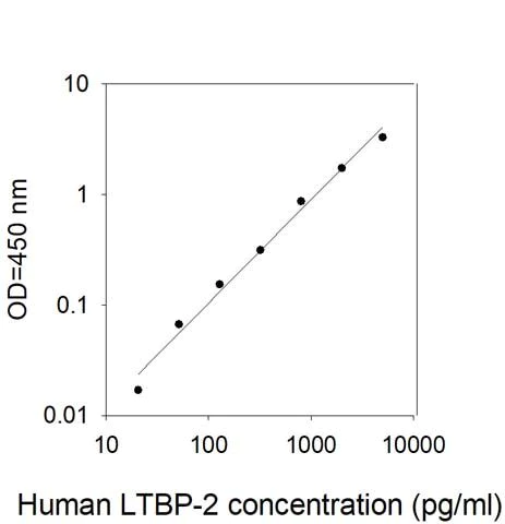 Sandwich ELISA - Human LTBP2 ELISA Kit (AB313988)