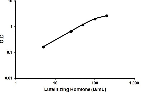 Sandwich ELISA - Human Luteinizing hormone ELISA Kit (LH) (AB178658), expandable thumbnail