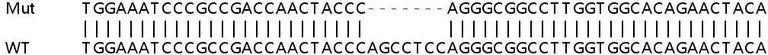 Sanger Sequencing - Human LXN (TCI) knockout HeLa cell lysate (AB258948)