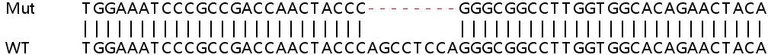 Sanger Sequencing - Human LXN (TCI) knockout HeLa cell lysate (AB258948)