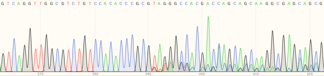 Sanger Sequencing - Human LY6K (Ly-6K) knockout HeLa cell line (AB265874), expandable thumbnail