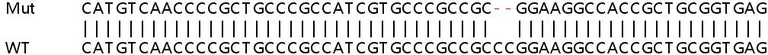 Sanger Sequencing - Human LYPLA1 (Lysophospholipase 1/LPL-I) knockout HEK-293T cell lysate (AB257509)