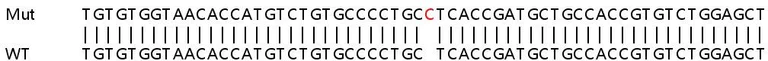 Sanger Sequencing - Human LYPLA2 (APT-2) knockout HeLa cell line (AB265900)