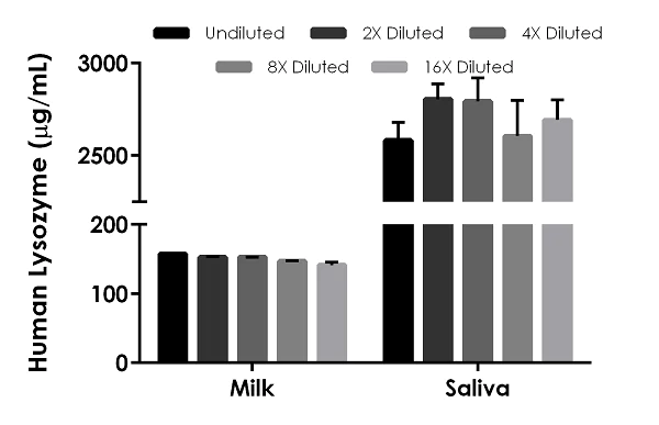 Sandwich ELISA - Human Lysozyme ELISA Kit (AB267798)