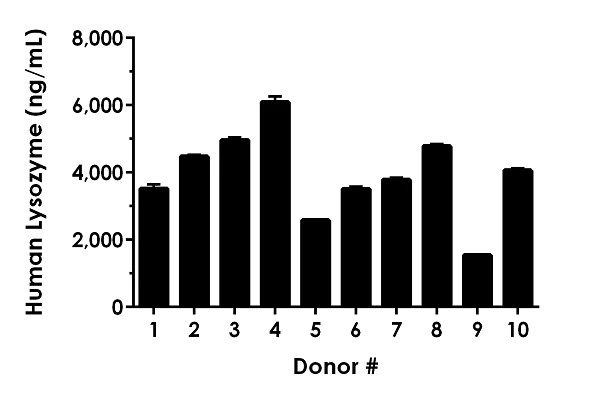 Sandwich ELISA - Human Lysozyme ELISA Kit (AB267798)
