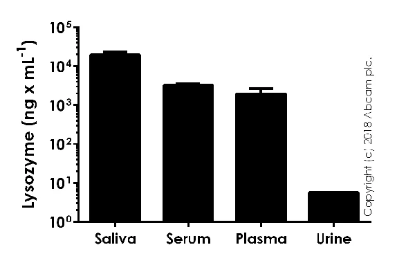 ELISA - Human Lysozyme ELISA Kit (LZM) (AB108880)