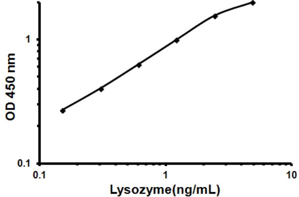Sandwich ELISA - Human Lysozyme ELISA Kit (LZM) (AB108880)