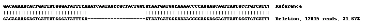 Next Generation Sequencing - Human LYZ (Lysozyme) knockout THP-1 cell lysate (AB270711)