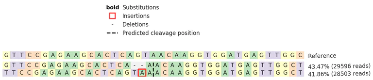 Next Generation Sequencing - Human MAGEA4 knockout A-431 cell line (AB273857)