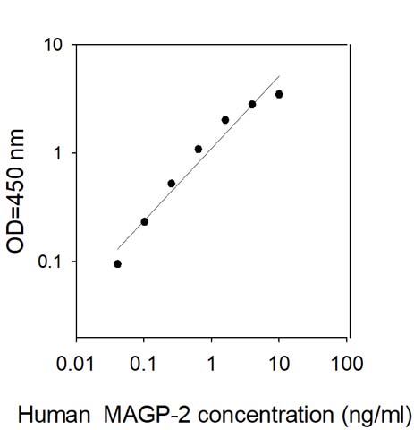 Sandwich ELISA - Human MAGP2 ELISA Kit (AB309410)