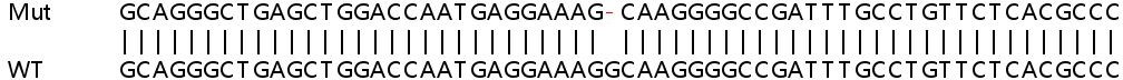 Sanger Sequencing - Human MAGT1 knockout HeLa cell lysate (AB258504), expandable thumbnail