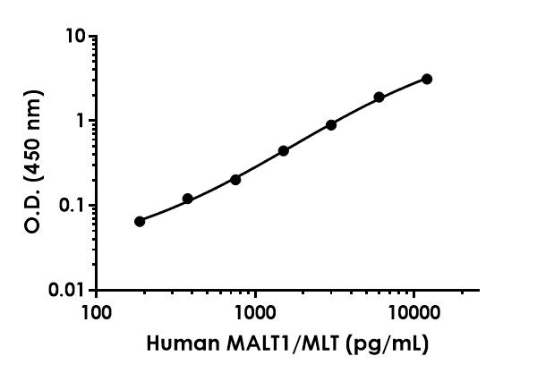 Sandwich ELISA - Human MALT1/MLT ELISA Kit (AB303742)