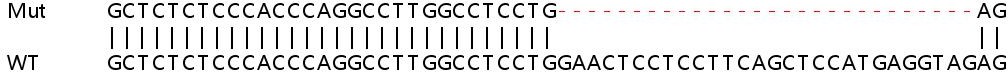 Sanger Sequencing - Human MAN1C1 (HMIC) knockout HeLa cell line (AB265977)