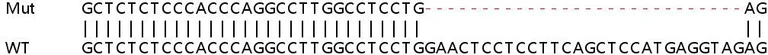 Sanger Sequencing - Human MAN1C1 (HMIC) knockout HeLa cell lysate (AB258952)