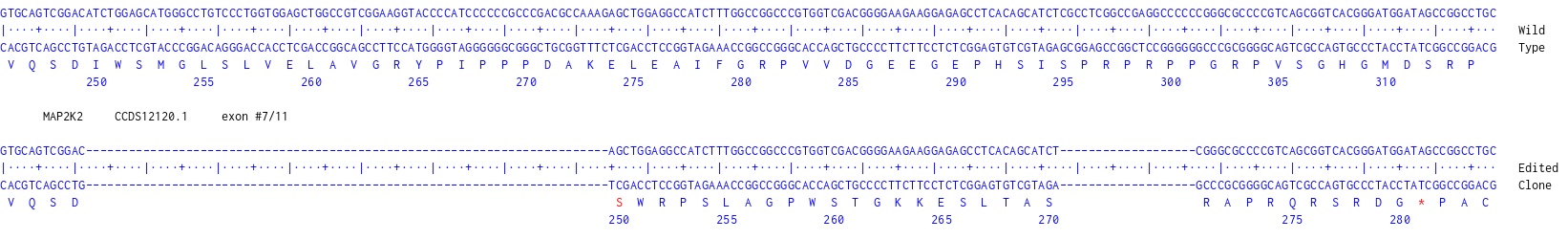 Next Generation Sequencing - Human MAP2K2 knockout HCT116 cell line (AB286599), expandable thumbnail