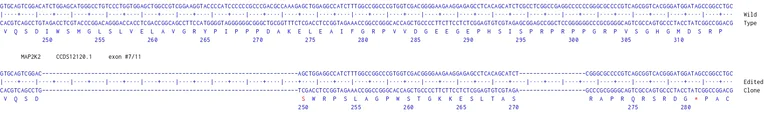 Next Generation Sequencing - Human MAP2K2 knockout HCT116 cell line (AB286599)