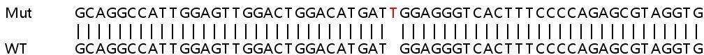 Sanger Sequencing - Human MAP2K5 (MEK5) knockout HeLa cell line (AB265044), expandable thumbnail