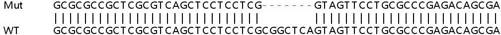 Sanger Sequencing - Human MAP3K11 (MLK3) knockout A549 cell line (AB267168), expandable thumbnail