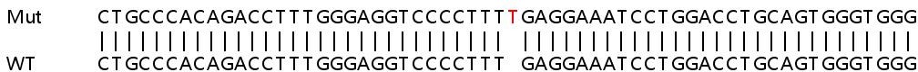 Sanger Sequencing - Human MAP3K12 knockout HeLa cell line (AB264743)