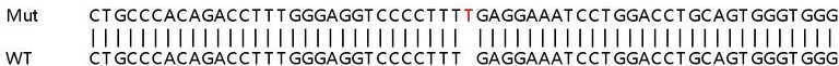 Sanger Sequencing - Human MAP3K12 knockout HeLa cell lysate (AB258506)