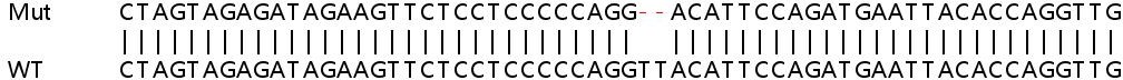 Sanger Sequencing - Human MAP3K2 (MEKK2) knockout A549 cell line (AB267152), expandable thumbnail