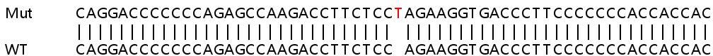 Sanger Sequencing - Human MAP7D1 knockout HEK-293T cell line (AB266232)