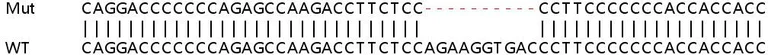 Sanger Sequencing - Human MAP7D1 knockout HEK-293T cell lysate (AB258957)