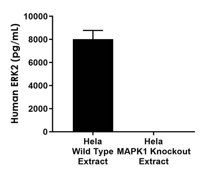 Sandwich ELISA - Human MAPK1 (ERK2) knockout HeLa cell line (AB265052)