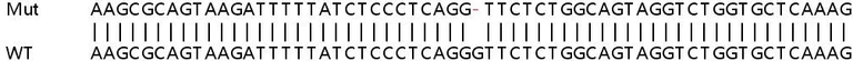 Sanger Sequencing - Human MAPK1 (ERK2) knockout HeLa cell line (AB265052)