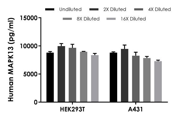 Sandwich ELISA - Human MAPK13 ELISA Kit (AB234562)