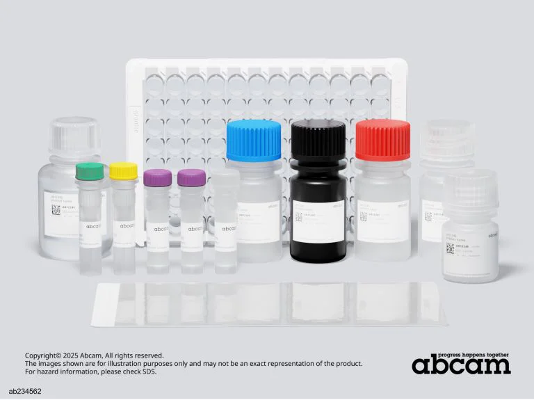 Sandwich ELISA - Human MAPK13 ELISA Kit (AB234562)