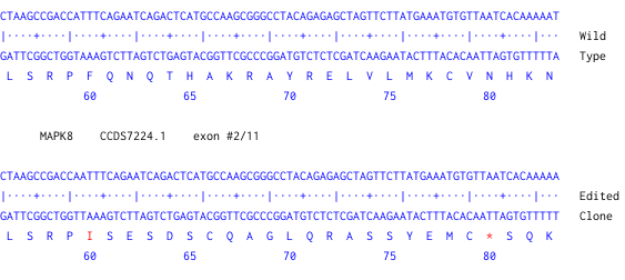 Next Generation Sequencing - Human MAPK8 knockout U-2 OS cell line (AB277181), expandable thumbnail