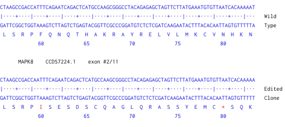 Next Generation Sequencing - Human MAPK8 knockout U-2 OS cell line (AB277181)