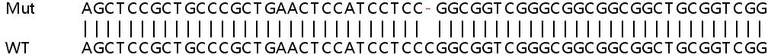 Sanger Sequencing - Human MAST2 (MAST205) knockout HeLa cell lysate (AB258959)