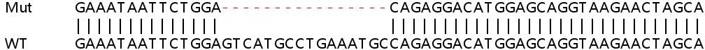 Sanger Sequencing - Human MAT2B (TGR) knockout HEK-293T cell lysate (AB258044), expandable thumbnail