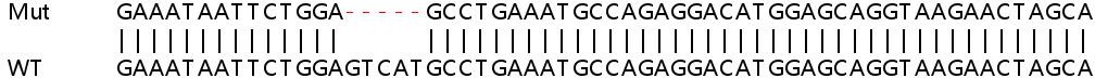 Sanger Sequencing - Human MAT2B (TGR) knockout HEK-293T cell lysate (AB258044), expandable thumbnail