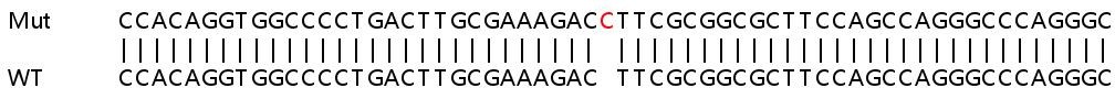 Sanger Sequencing - Human MBD1 knockout HeLa cell line (AB265029), expandable thumbnail