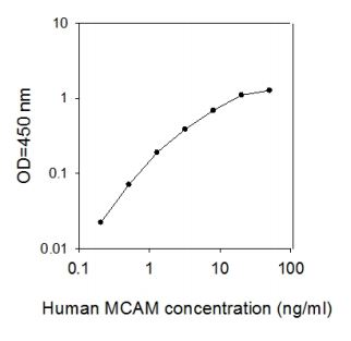 Sandwich ELISA - Human MCAM ELISA Kit (AB267610), expandable thumbnail