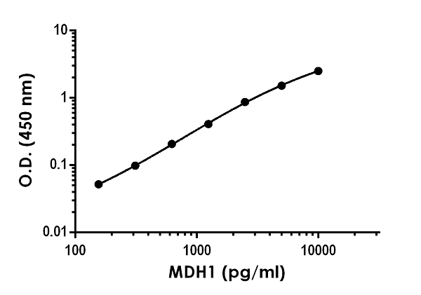 Sandwich ELISA - Human MDH1 ELISA Kit (cytosolic malate dehydrogenase) (AB255724)
