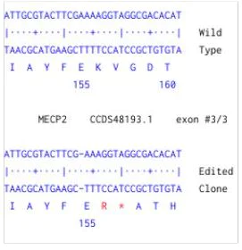 Next Generation Sequencing - Human MECP2 knockout HCT116 cell line (AB289193)