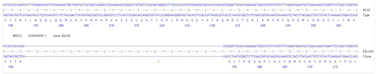Next Generation Sequencing - Human MED12 knockout HCT116 cell line (AB286465)